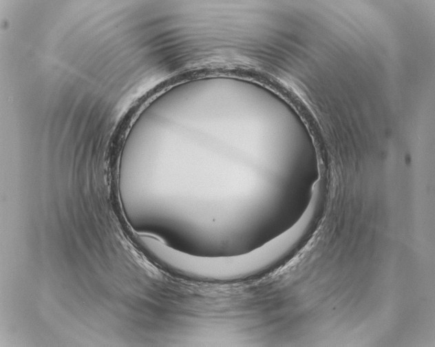 X0000088211018200706051251