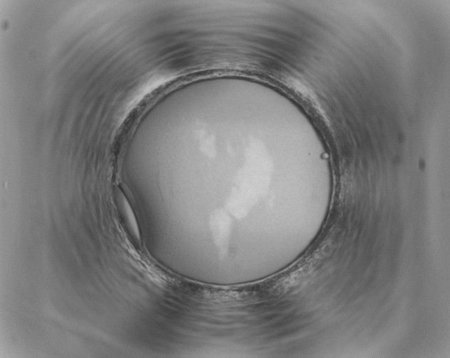 X0000088211019200706051251