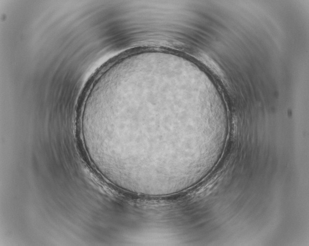 X0000088211020200706051251