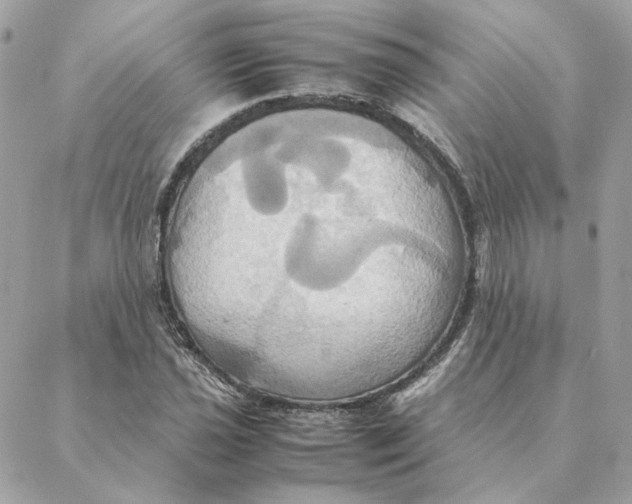 X0000088211021200706051251