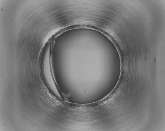 X0000088211022200706051251