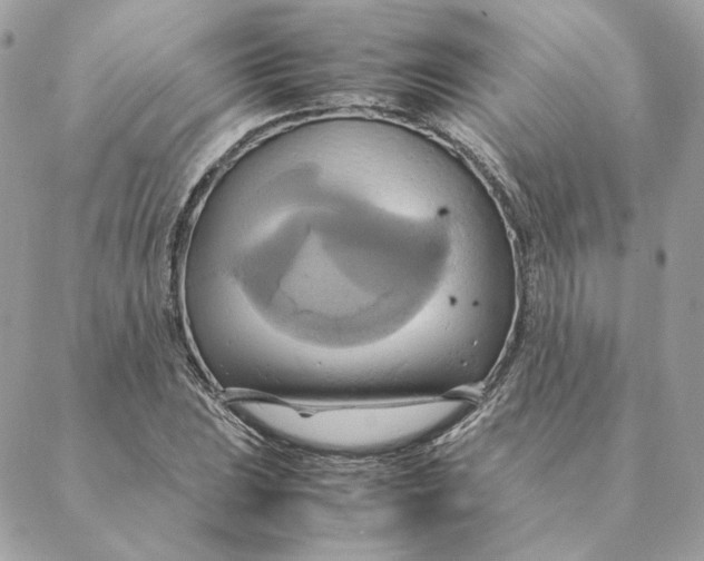 X0000088211023200706051251