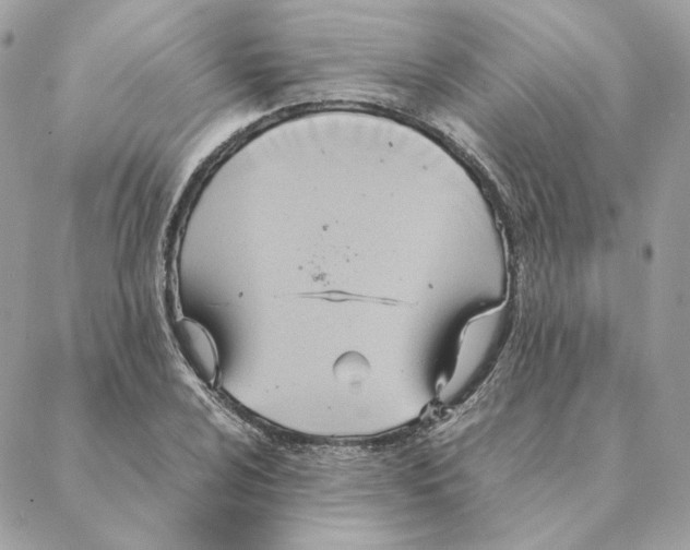 X0000088211024200706051251