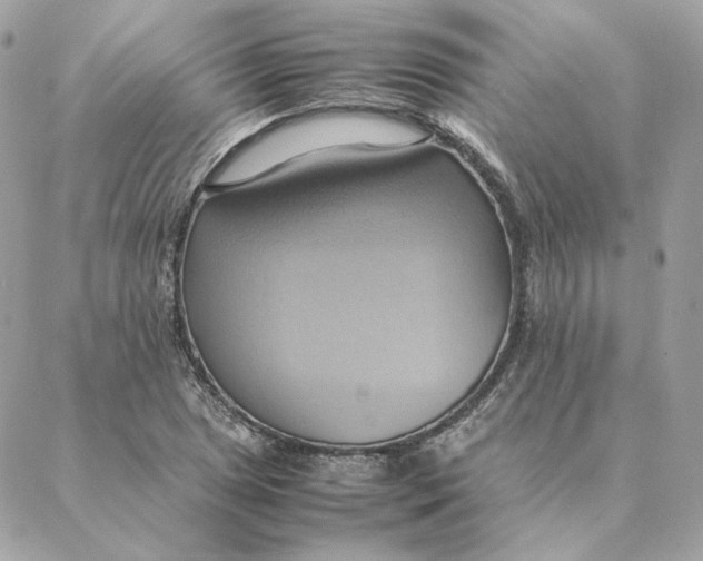 X0000088211025200706051251