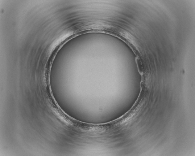 X0000088211026200706051251