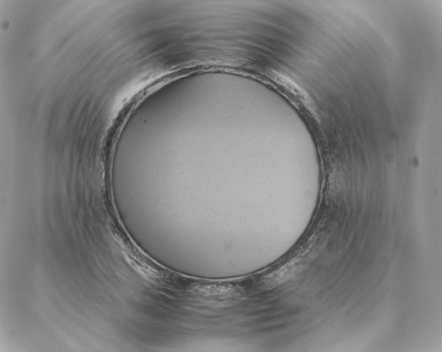 X0000088211027200706051252