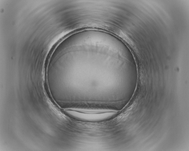 X0000088211028200706051252