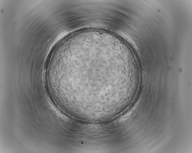 X0000088211029200706051252