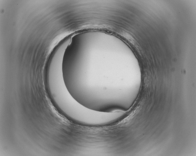 X0000088211030200706051252