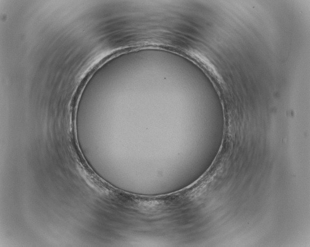 X0000088211031200706051252