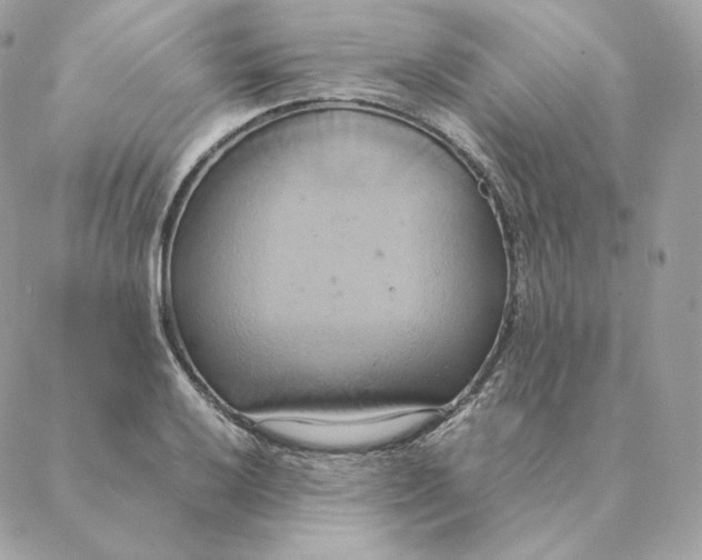 X0000088211032200706051252