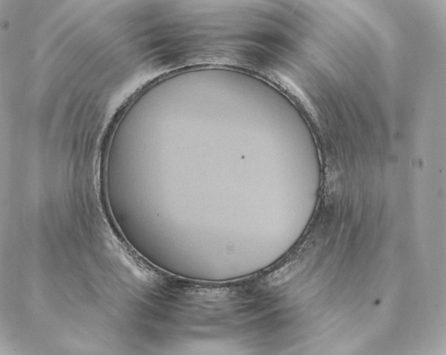 X0000088211035200706051252