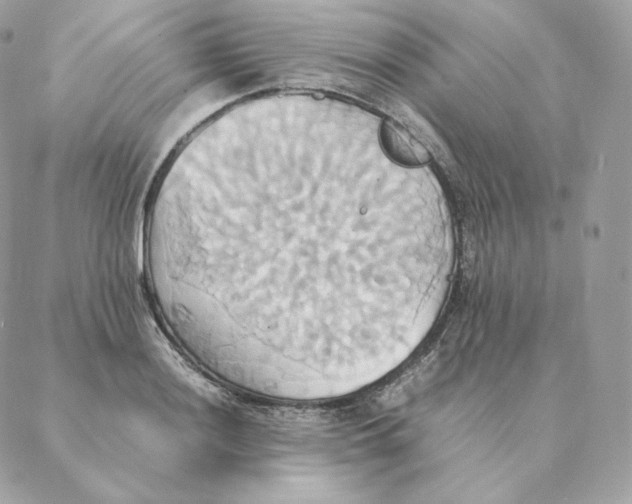 X0000088211036200706051252