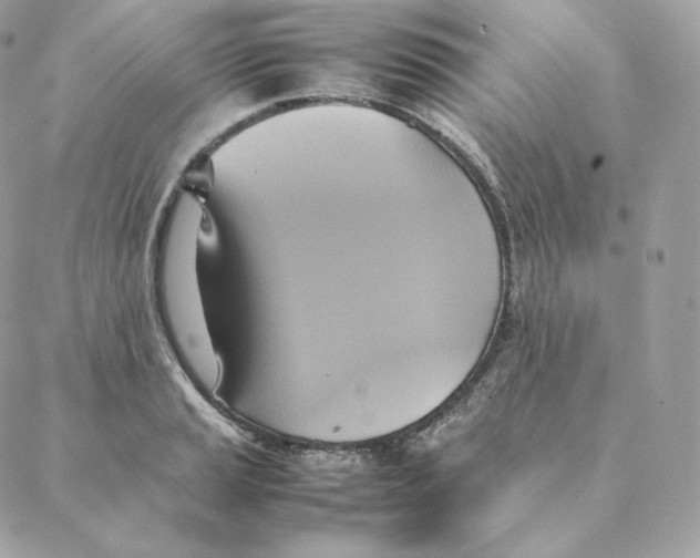 X0000088211037200706051252