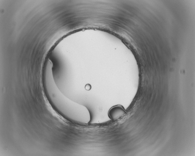 X0000088211038200706051252