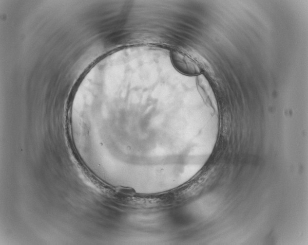 X0000088211039200706051252