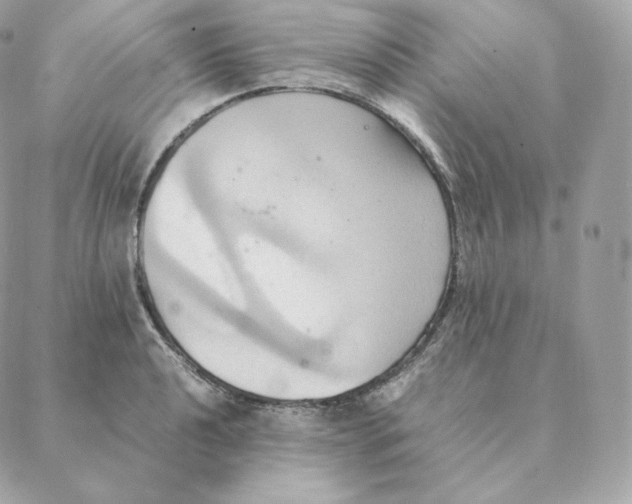 X0000088211040200706051252