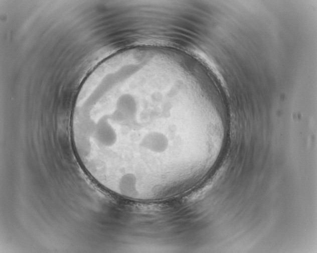 X0000088211041200706051252