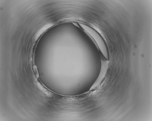 X0000088211042200706051252