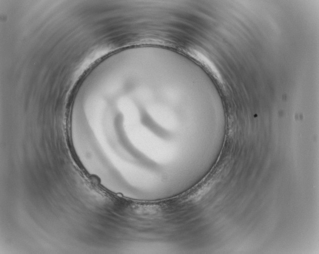 X0000088211043200706051252