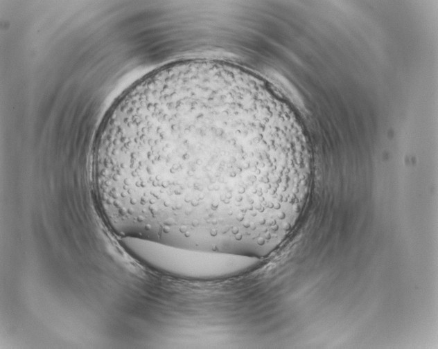 X0000088211044200706051252