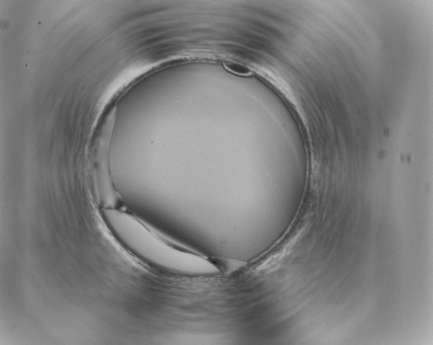 X0000088211045200706051252