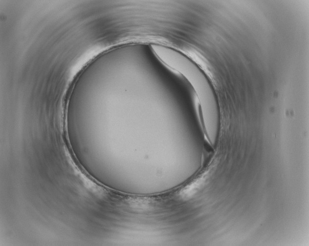 X0000088211046200706051252