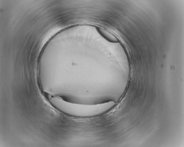 X0000088211048200706051252