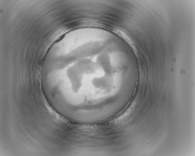 X0000088211049200706051252