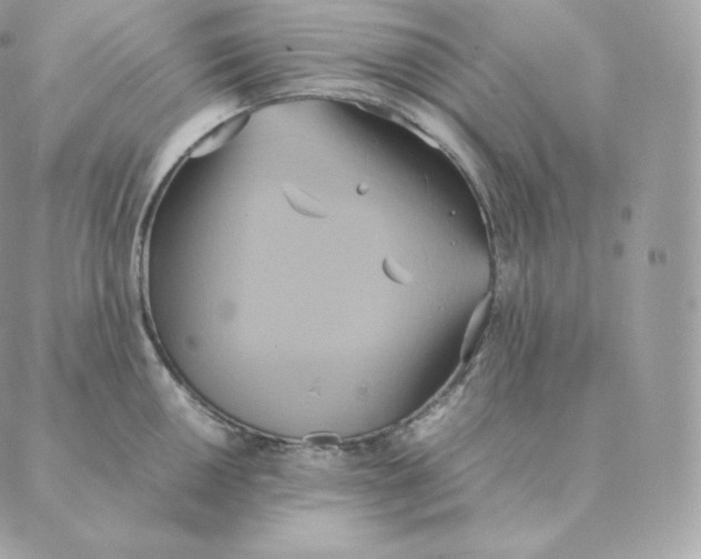 X0000088211050200706051252