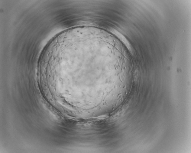 X0000088211051200706051252