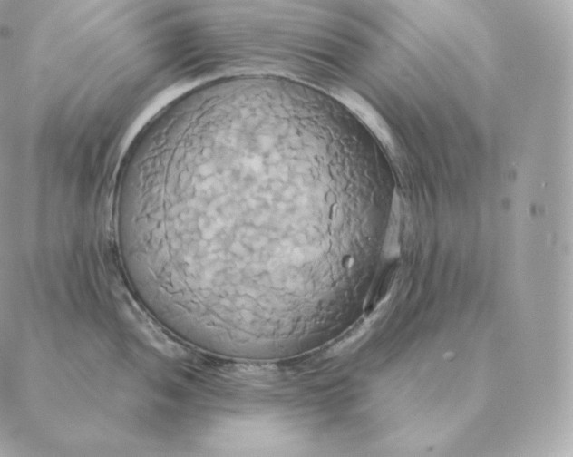 X0000088211052200706051252