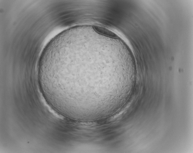 X0000088211053200706051252