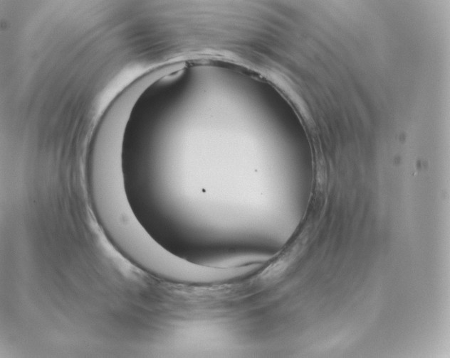 X0000088211054200706051252