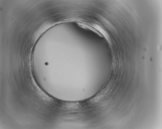 X0000088211055200706051252