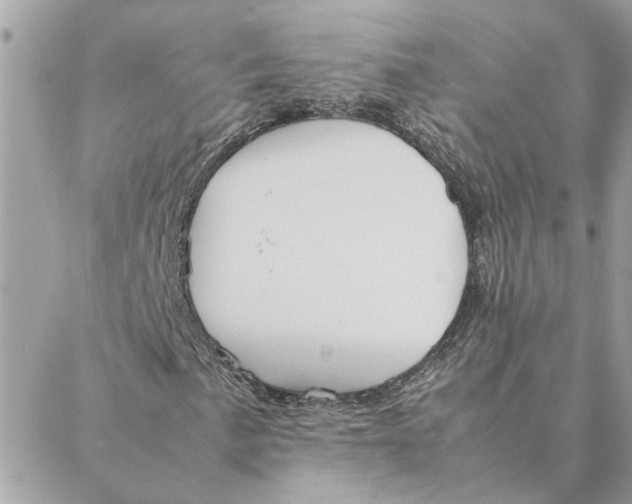 X0000088211057200706051251