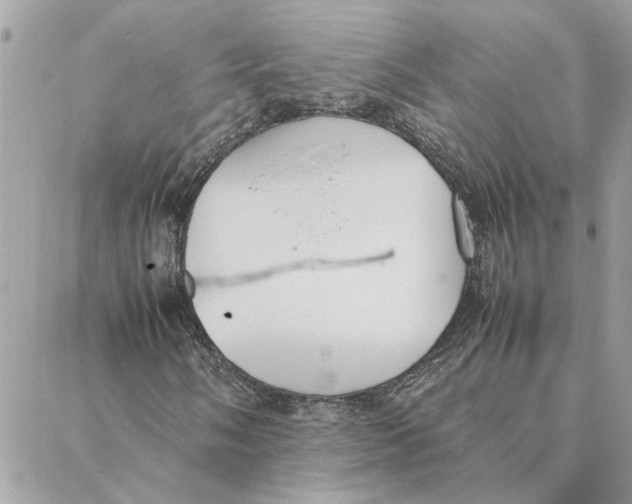 X0000088211058200706051251