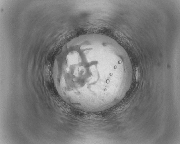 X0000088211059200706051251