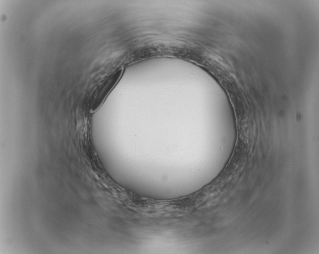 X0000088211061200706051251