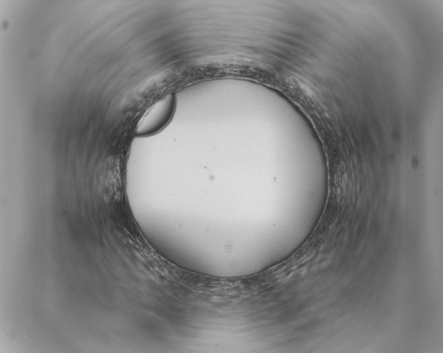 X0000088211062200706051251