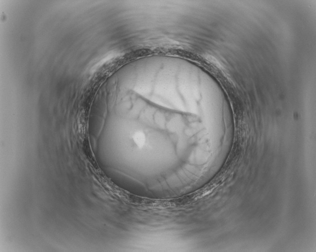 X0000088211063200706051251