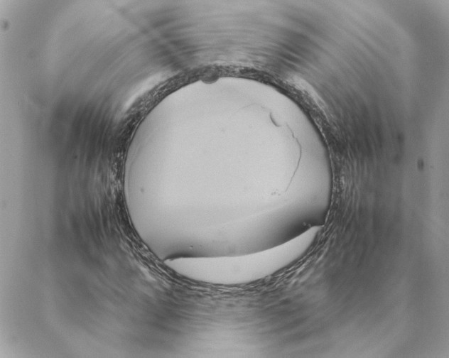 X0000088211064200706051251