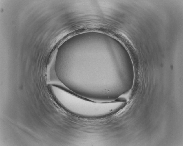 X0000088211065200706051251