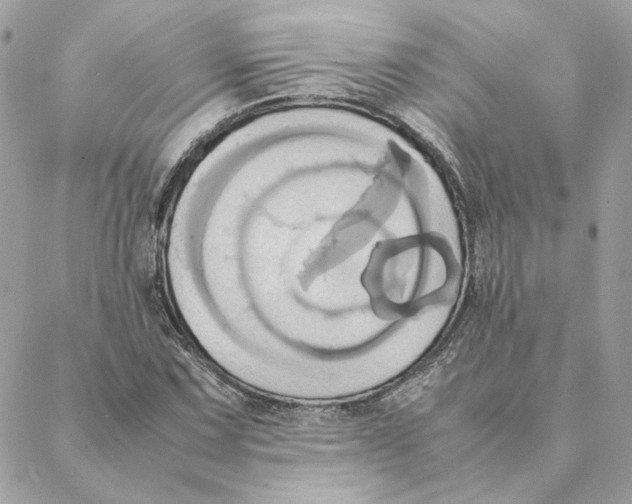 X0000088211067200706051251