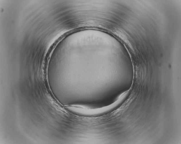 X0000088211068200706051251