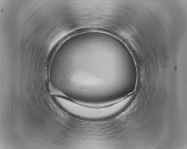 X0000088211069200706051251