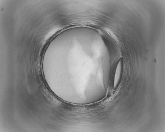 X0000088211071200706051251