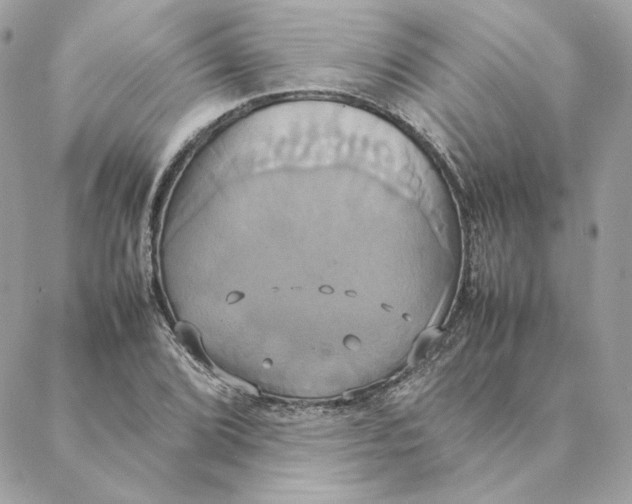 X0000088211072200706051251