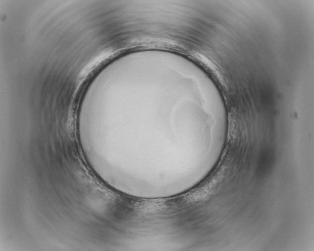 X0000088211074200706051251