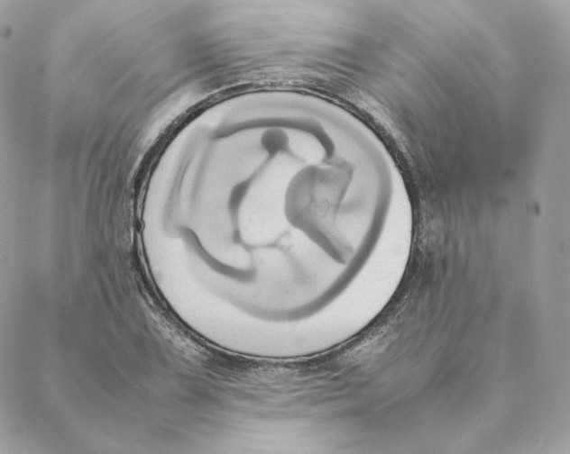 X0000088211075200706051251